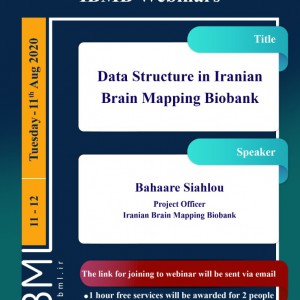 Data Structure in Iranian Brain Mapping Biobank